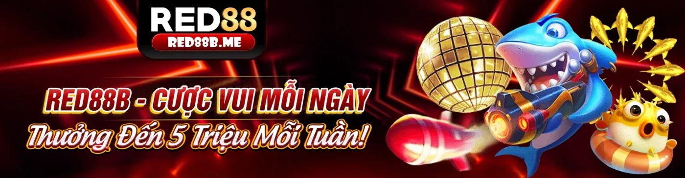 Hình ảnh chính blog natra88, cập nhật tin tức và hướng dẫn cá cược